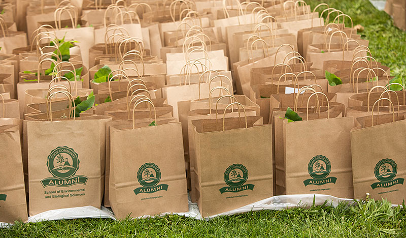 Alumni  bags at Convocation.